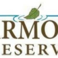 Harmony Reserve expert realtor in Treasure Coast, FL 